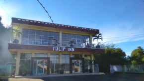 Tulip Inn Tomohon